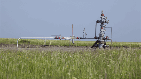 Natural Gas 2020 Natural Gas 2020